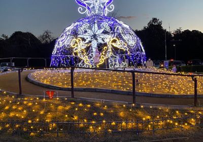 マリーゴールドの丘公園