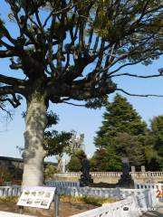 Cimetière de Yanaka