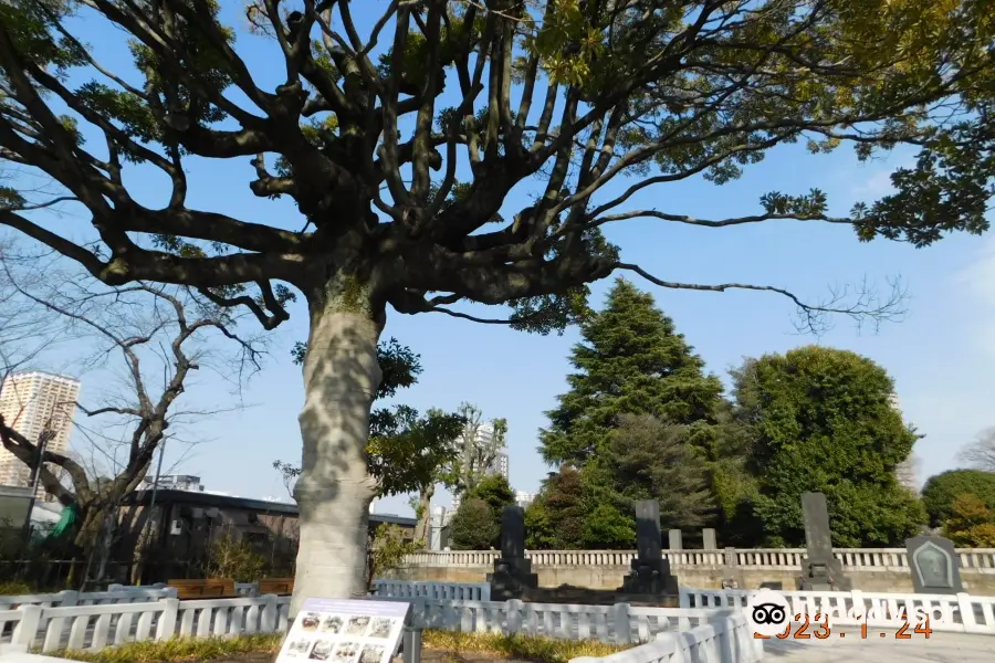 Parque del Cementerio de Yanaka