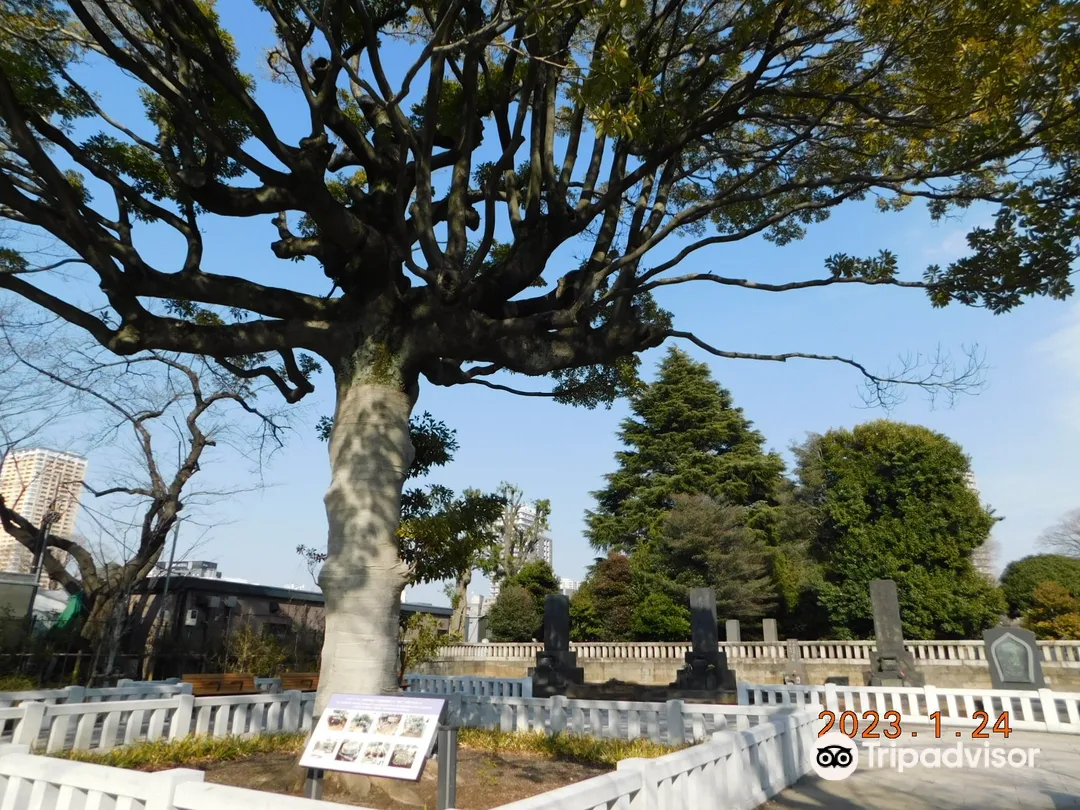 2_Yanaka Cemetery