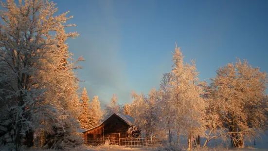 Palosaari Reindeer and Fishing Farm