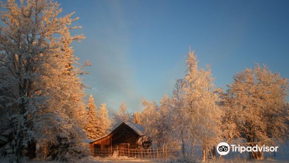 Palosaari Reindeer and Fishing Farm