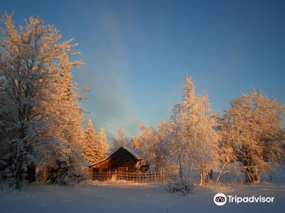 Palosaari Reindeer and Fishing Farm