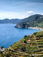 Trail 531 Riomaggiore to Manarola