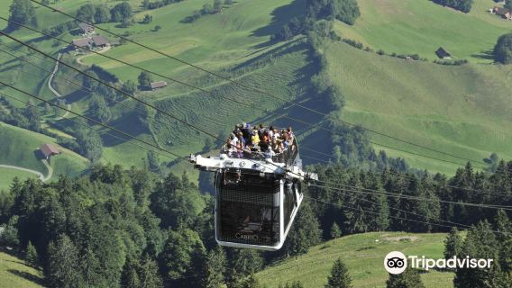 Tagestour zur Kapellbrücke, in die Luzerner Altstadt und zum Stanser Berg (teilweise unabhängig)