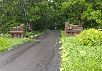 Shunkunitai Wild Bird Sanctuary