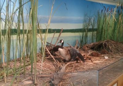 Manasquan Reservoir Environmental Center