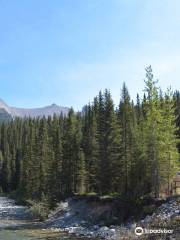 Alberta Mountain Bike Adventures