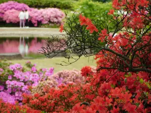 Tsutsujigaoka Park