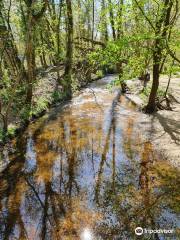 Blashford Lakes