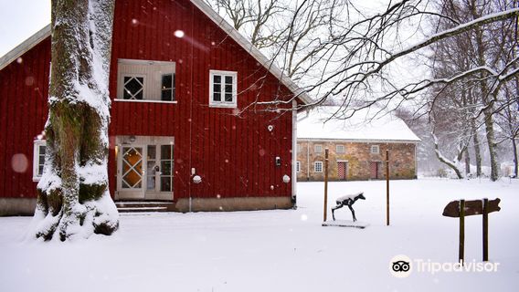 Natural History Museum and Botanical Garden, University of Agder