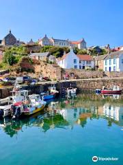 Crail Harbour