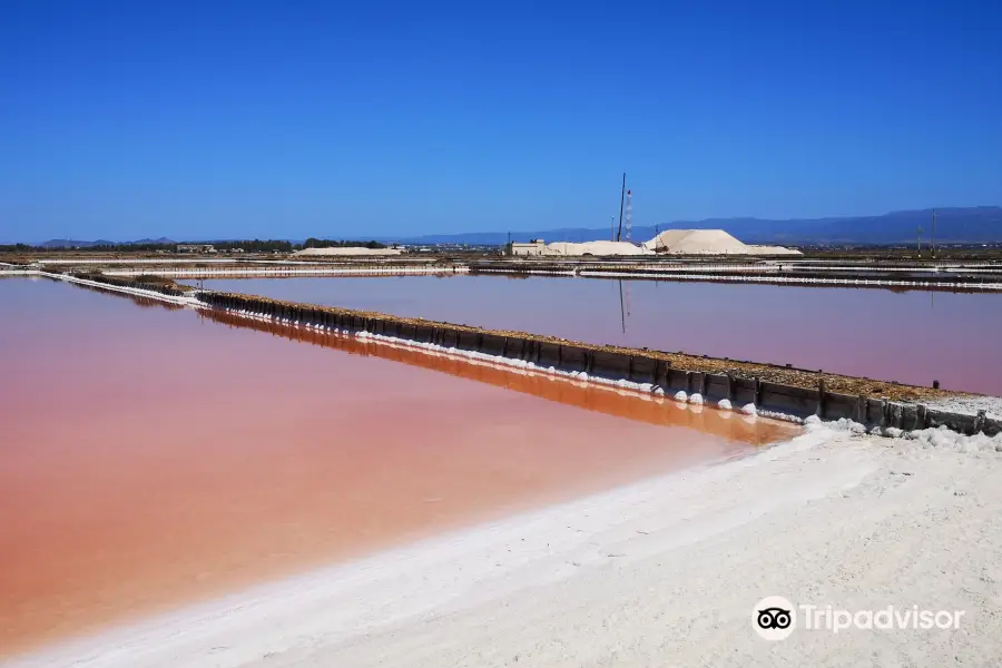 Saline Conti Vecchi