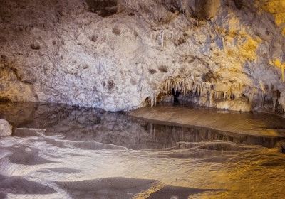 Anemotrypa Cave