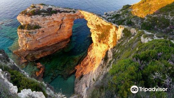 Tripitos Arch