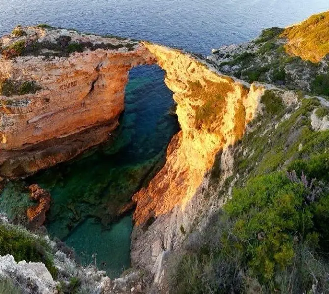 Paxoi