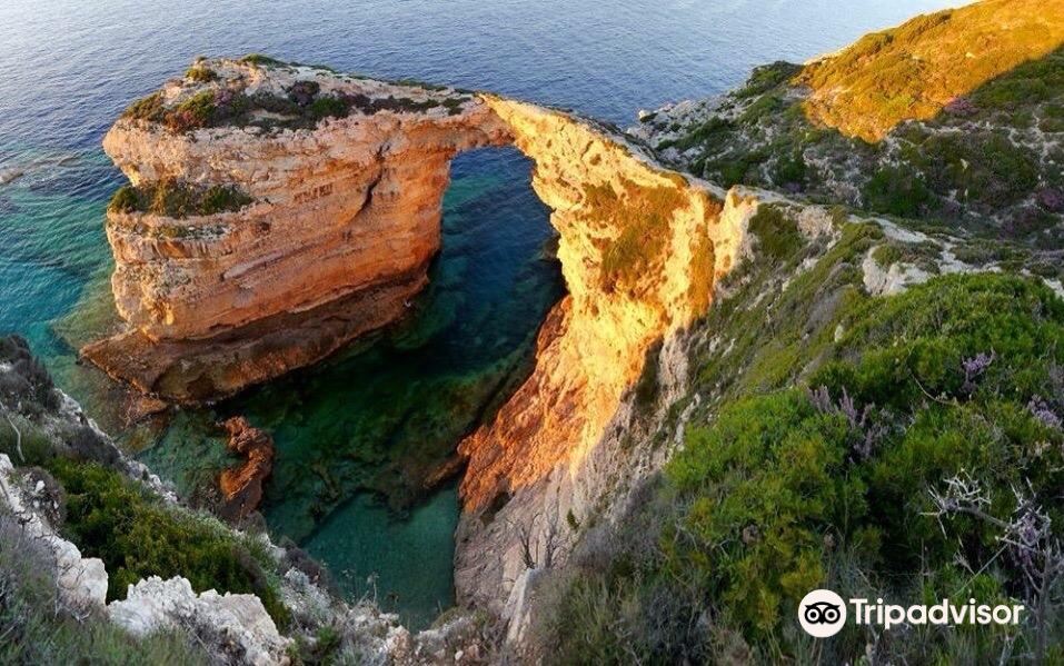 Paxoi