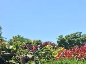 Cheongsan Arboretum