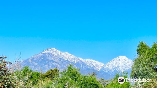 California Botanic Garden