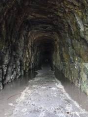 Stumphouse Tunnel