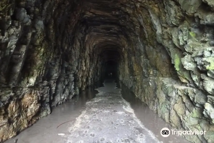 Stumphouse Tunnel