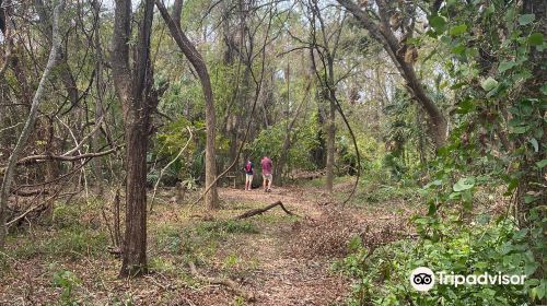 Indian Shell Mound Park