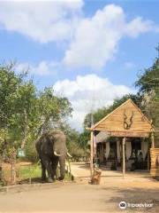 Shemeji Safari