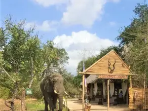 Shemeji Safari