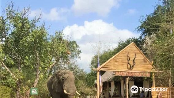 Serengeti