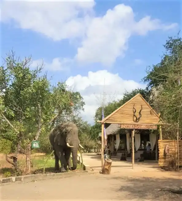 Hotels near Shemeji Safari