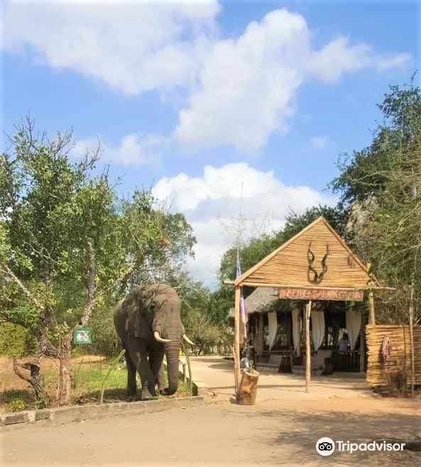 Shemeji Safari