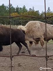 サスカトゥーン・フォレストリー・ファーム・パーク&動物園