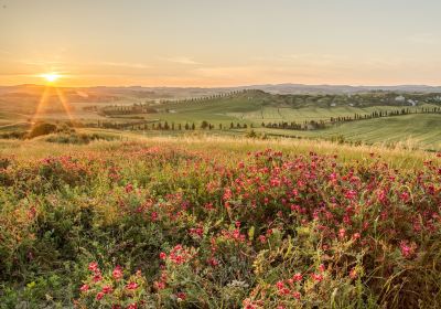 Crete Senesi