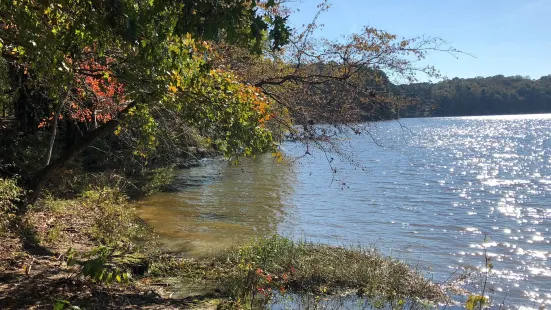 Lake Benson Park