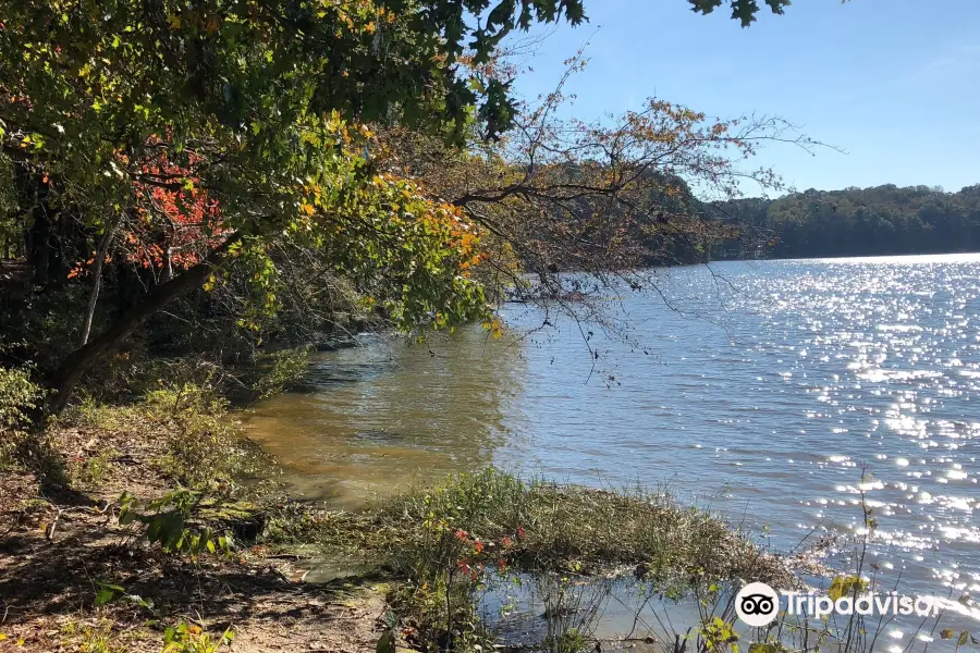 Lake Benson Park