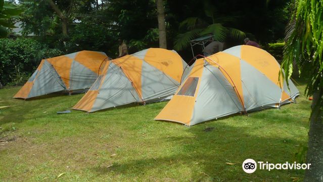 High Peaks Expeditions