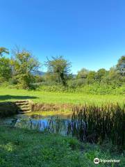 Lahinja Landscape Park