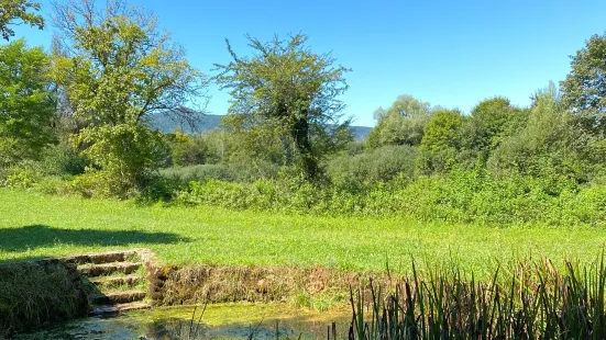 Lahinja Landscape Park