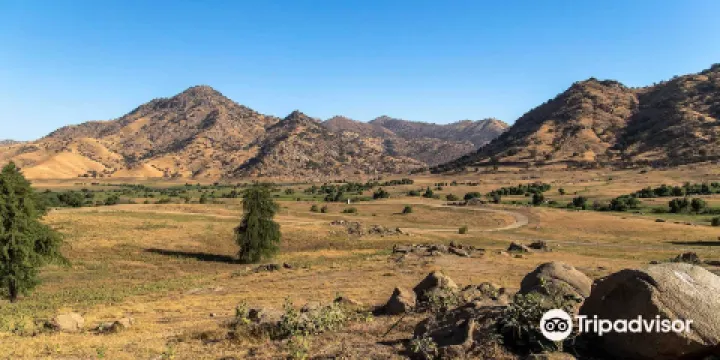 Horse Creek Campground