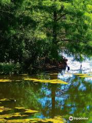 Green Cay Nature Center & Wetlands