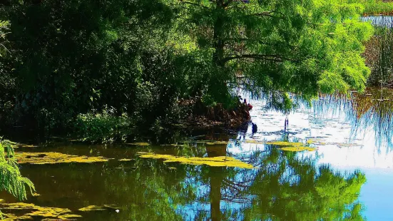 Green Cay Nature Center & Wetlands