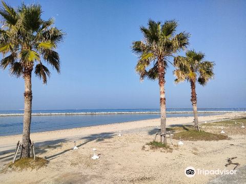 Rinku Beach