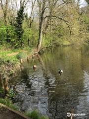 C S Lewis Nature Reserve