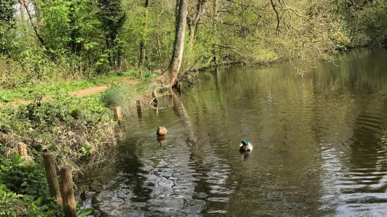 C S Lewis Nature Reserve