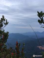 Gunung Irau (Mount Irau)