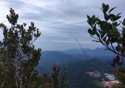 Gunung Irau (Mount Irau)