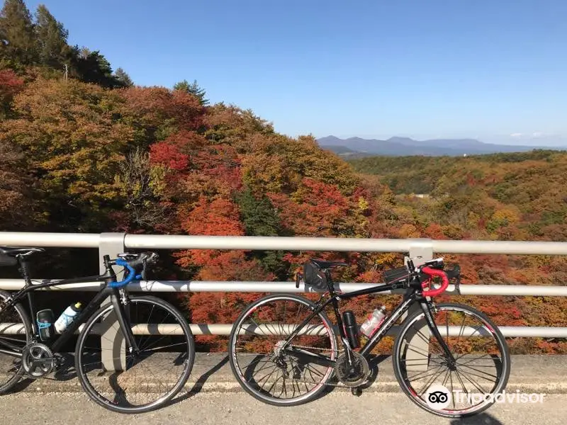 Mori no Ohashi Bridge