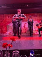 Flamenco de Leones