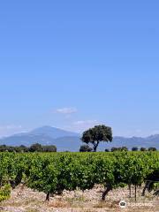 Cave Coopérative les Coteaux du Rhône