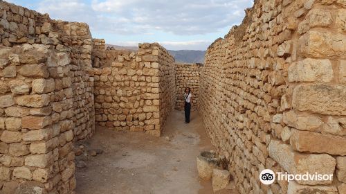 Al Balid Archeological Site